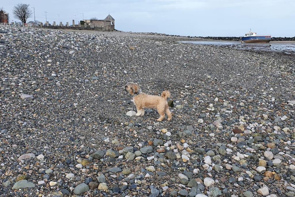 Welcome To The Beach House! Rhôs-on-Sea エクステリア 写真